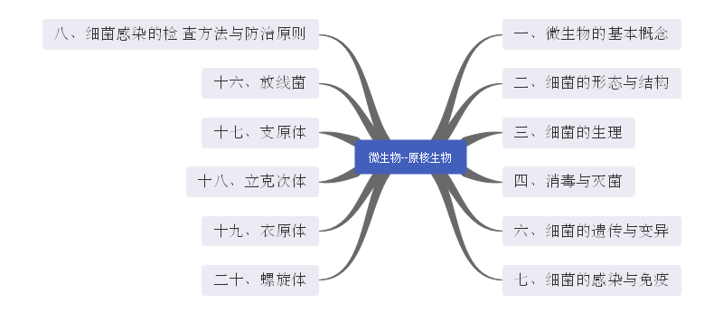 一张思维导图带你了解21年执业医师微生物大纲 细菌