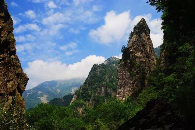 朱雀国家森林公园再获中国（陕西）文化和旅游总评榜两项殊荣