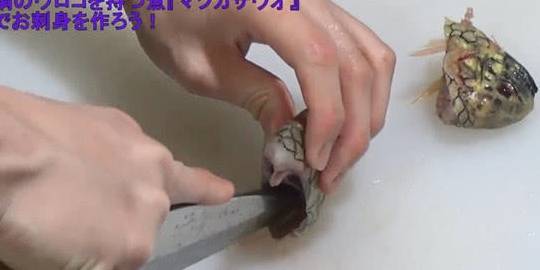 994647b5a50b42c2acbdd8f78821bb78.jpeg