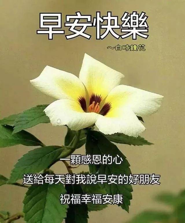 超漂亮的早晨好表情包,早上好微信朋友圈温馨问候语