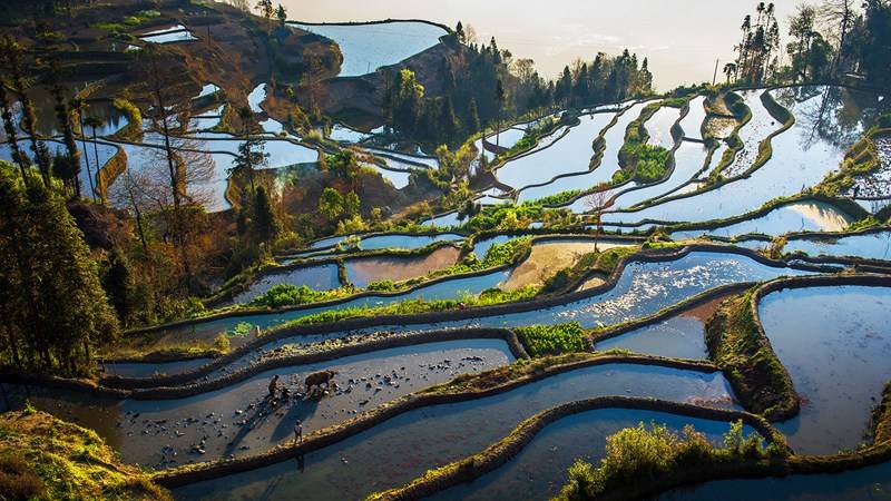 原创摄影师镜头下的最美春耕图