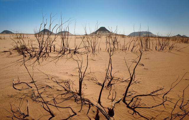 直到去年秋冬季,这种干旱少雨的气候逐渐的明朗起来,直到2021年的春季