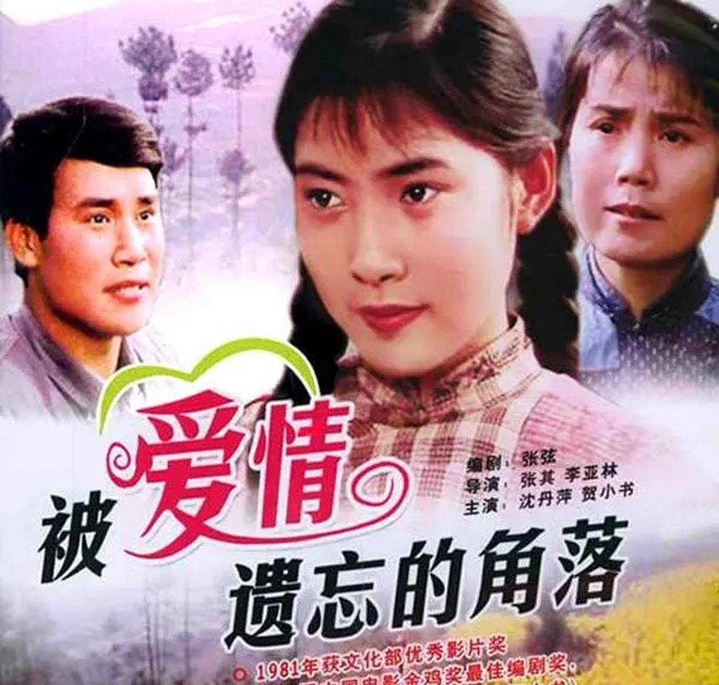 被爱情遗忘的角落主演杨海莲后悔移民去了美国