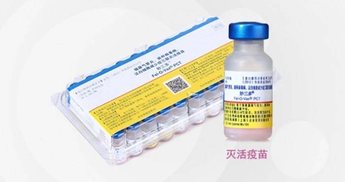 虽然只接种三支疫苗,对于一般的猫来说,一生就足够了,但是对于要做