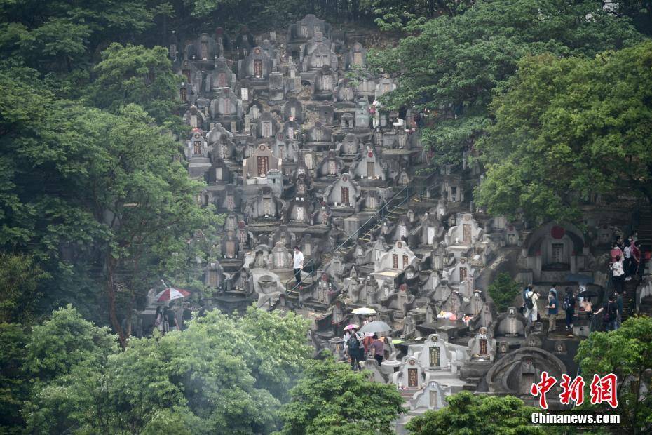 清明节香港细雨纷飞市民雨中扫墓祭祖