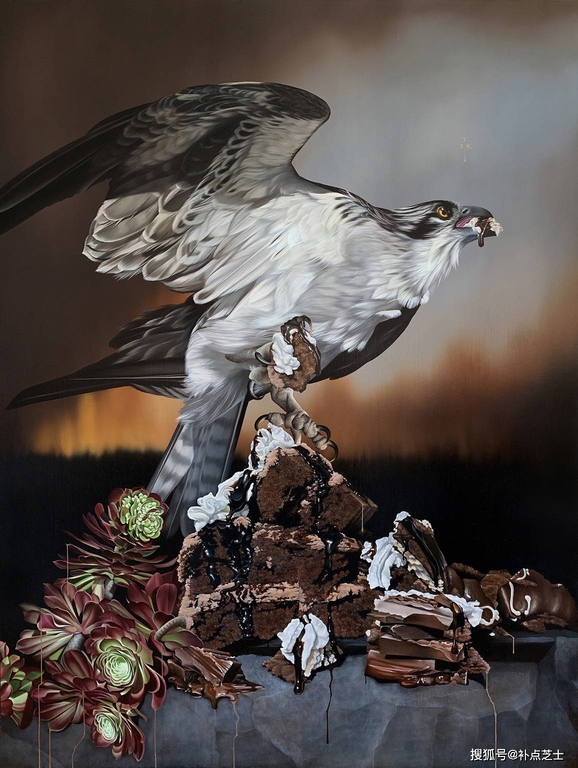 超现实氛围之中的鸟儿艺术家通过戏剧性肖像画唤起自然神秘之美