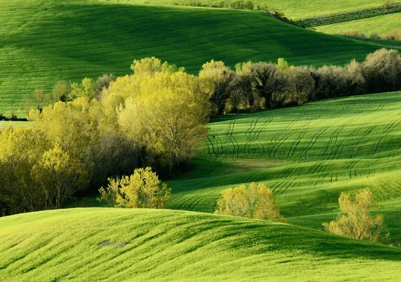 步入4月,霉运散喜事来,4属相机遇多多,福旺财旺,生活甜蜜蜜