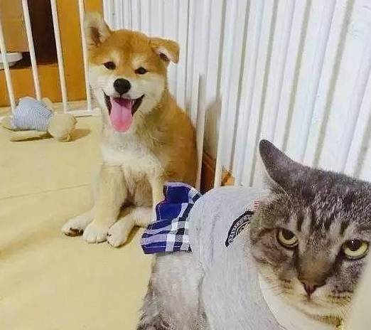 c17c1df60de44588958a199582d6ac10.jpeg