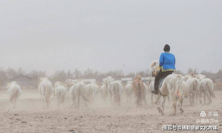 蔓什么成语_成语故事图片(2)