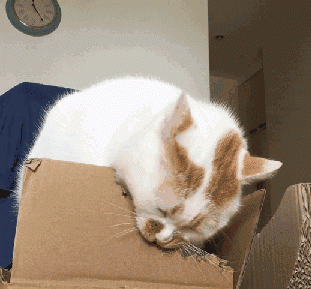 604fb129ca724e76815d8a16487cb242.gif