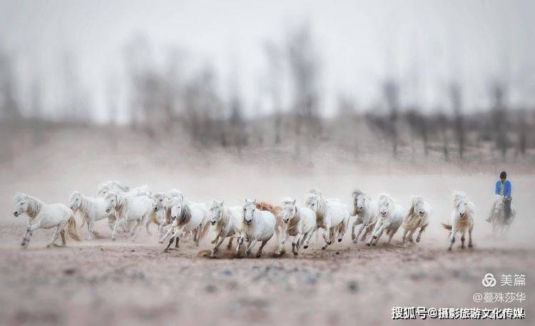 蔓什么成语_成语故事图片(2)