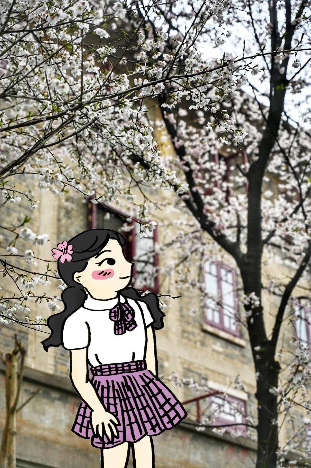 春日赏樱好去处！免费游武汉大学樱花城堡！