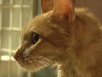 三月代表的动物 879bb0af4b2d48388937aa9c80c1101c.jpeg