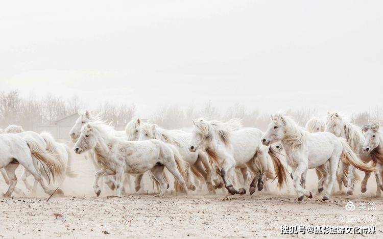 蔓什么成语_成语故事图片(3)