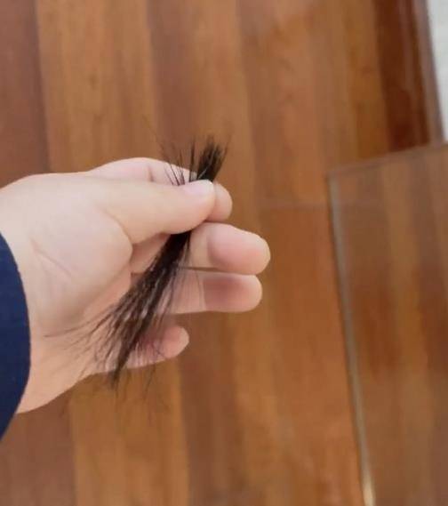 小男孩玩剪刀不小心剪掉头发,录视频郑重向舅舅道歉,萌翻网友_民俗