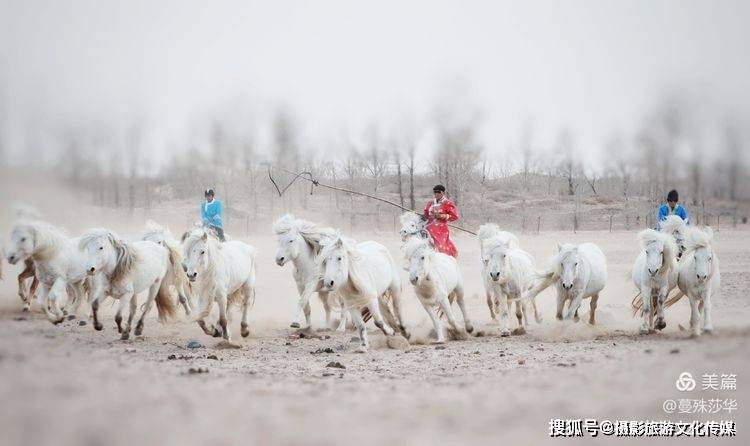 蔓什么成语_成语故事图片(3)