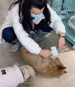 244_283gif 动态图 动图