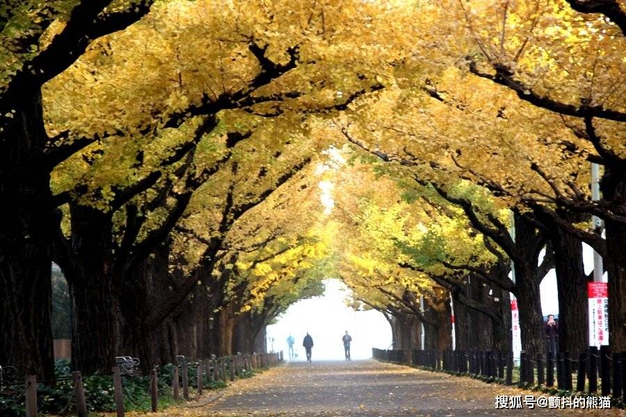 日剧之路 东京都内最经典的4个“外景拍摄地” 旅游好去处