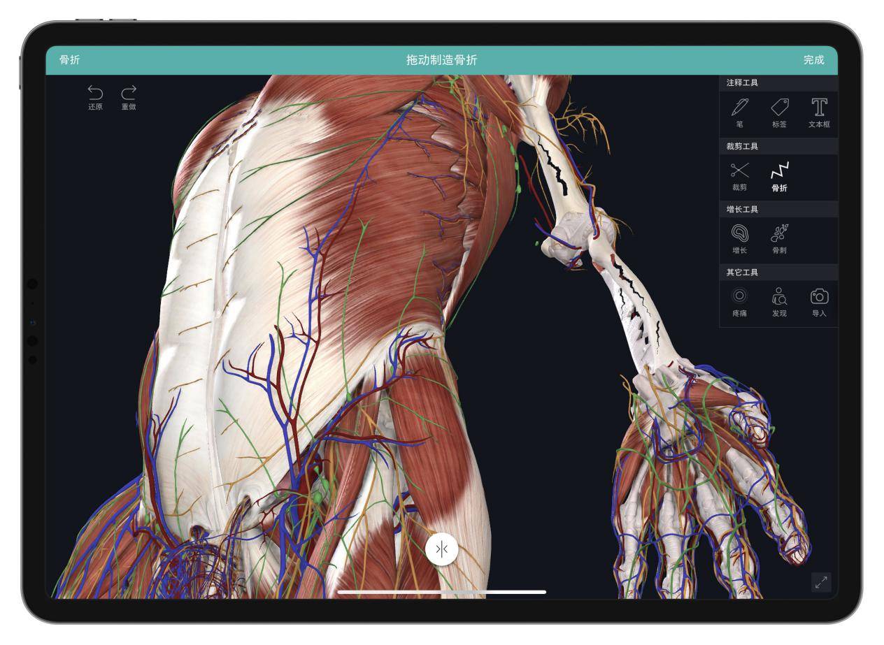 complete anatomy中文版装配有大量模型工具,可以帮助用户在模型上