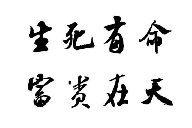 7abc891ec4ad43e7aa4f498f588cef5c.png