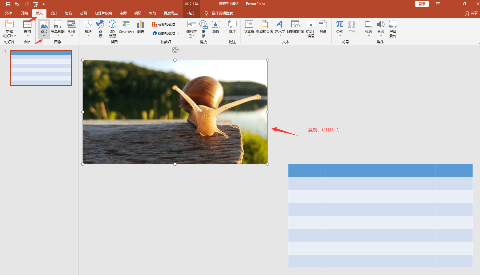 ppt表格封面图片设置技巧排版设计简单轻松高效展示不劳心