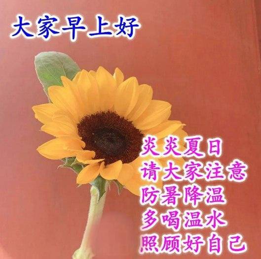祝你早安简谱_祝你早安午安晚安视频(3)