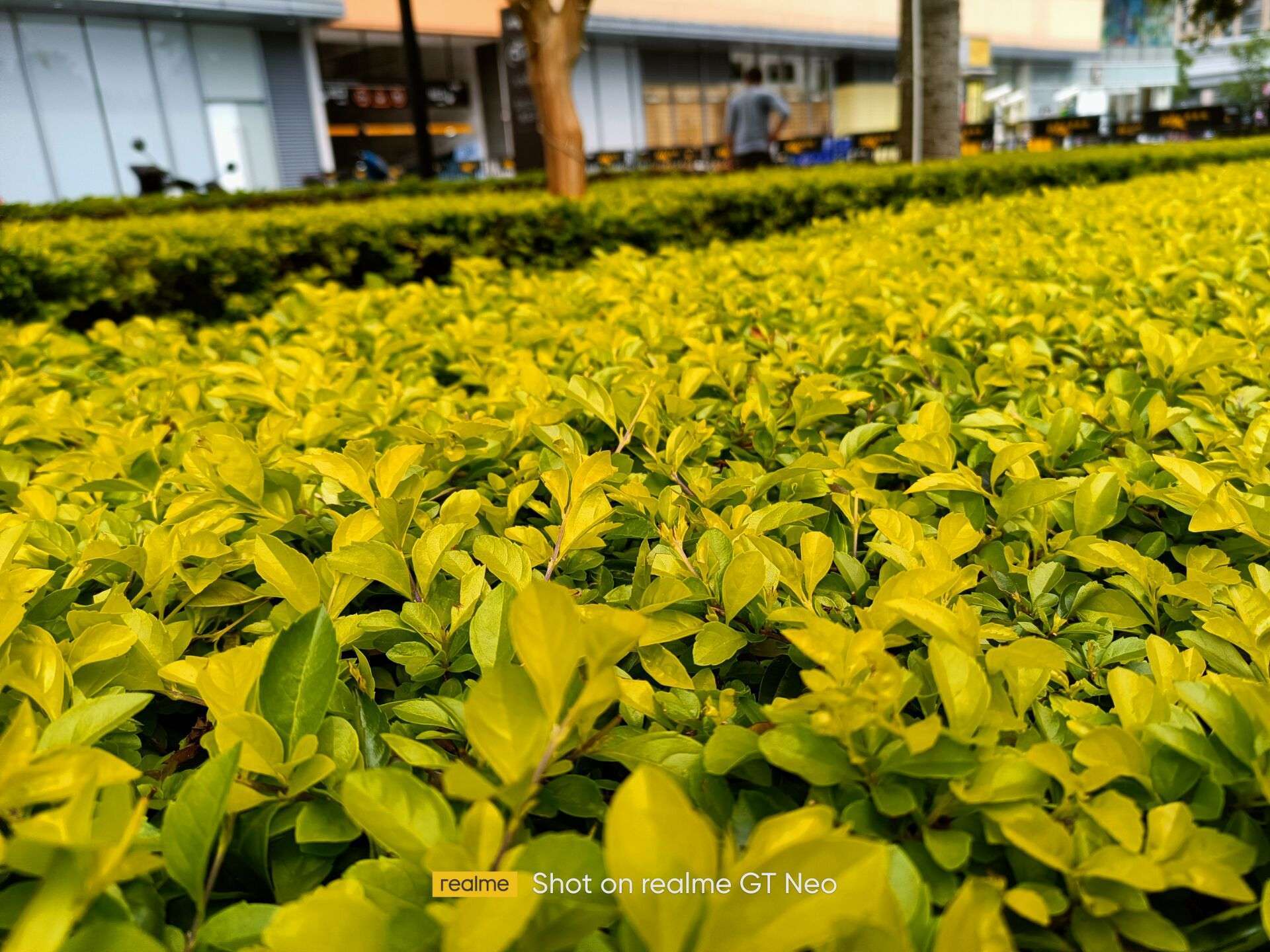 天玑1200首秀realme真我gtneo一周上手体验