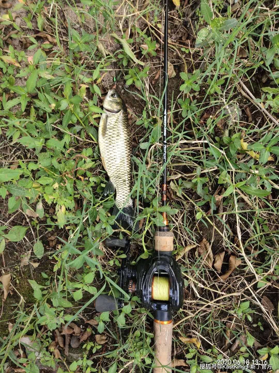 谁说路亚不能钓草鱼那是你段位低