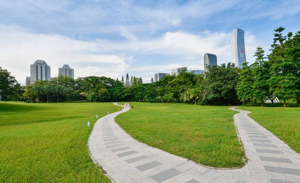 漫步深圳荔香公园，寻找都市中的一份宁静