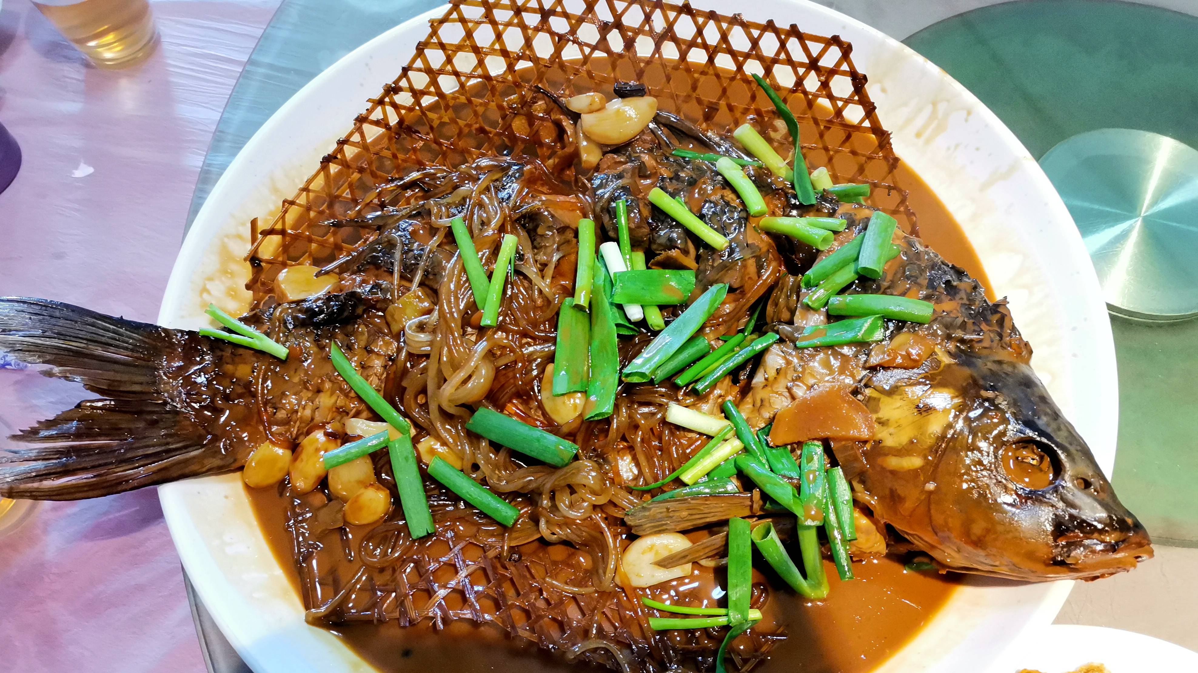 打卡千年秀林,寻觅昨天的脚印_白洋淀