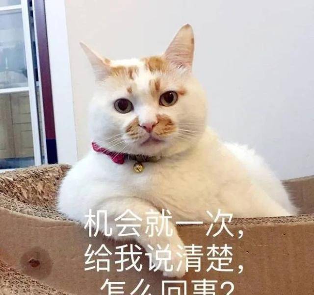 da35b05e55c84ac299ae8ac178aab407.jpeg