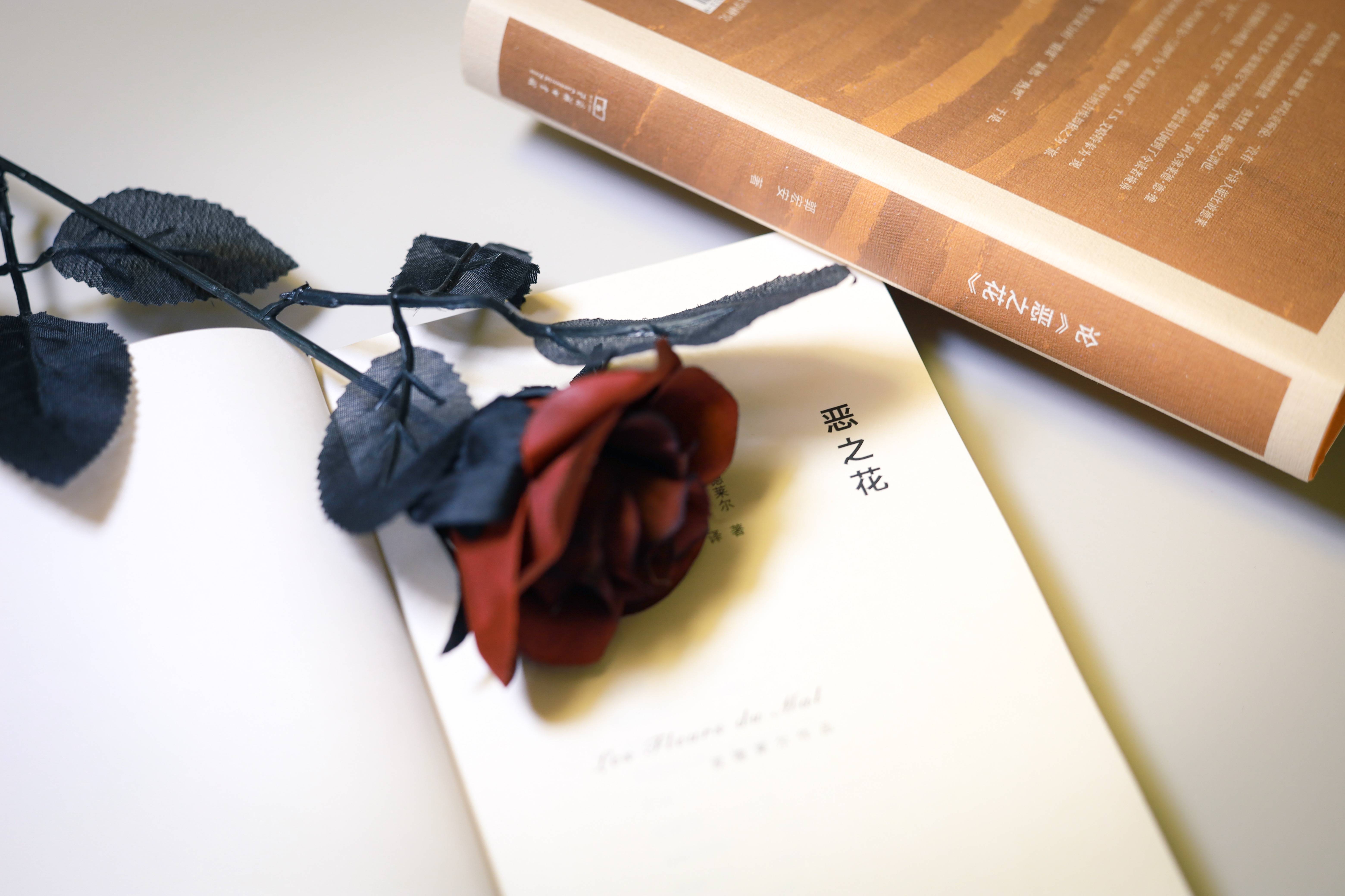 波德莱尔诞辰0周年 郭宏安细述翻译一百朵 恶之花 的始末 文学 波德莱尔诞辰0周年 郭宏安细述翻译一百朵 恶之花 的始末 文学