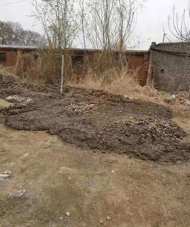 唐山市古冶区:养鸡场恶臭冲天,鸡粪公然摊放路边_手机搜狐网