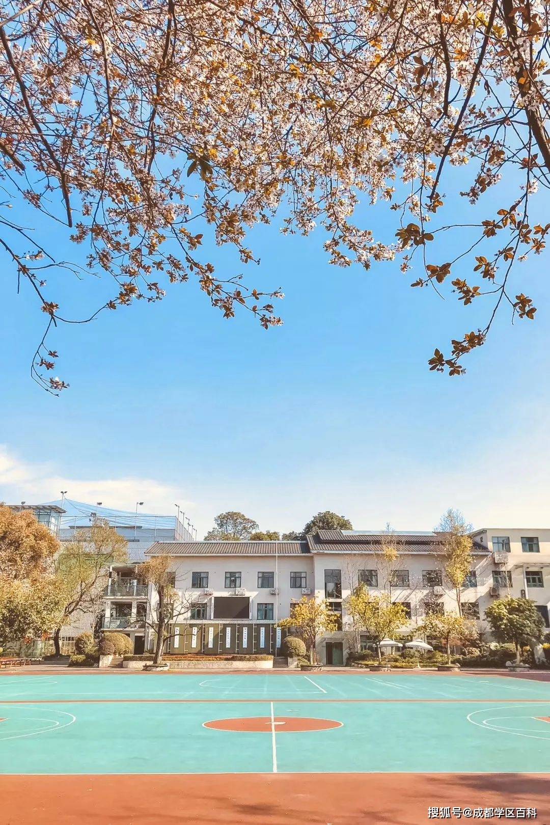 感受传统文化走进诗意校园名校巡礼之草堂小学