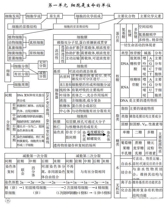 高中生物所有知識點思維導圖彙總