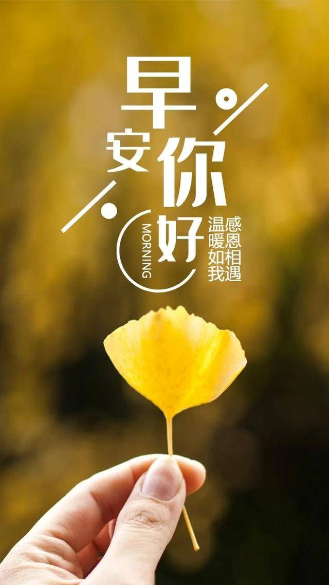 2021年早上好阳光祝福优美短句早安好心情祝福语图片带字