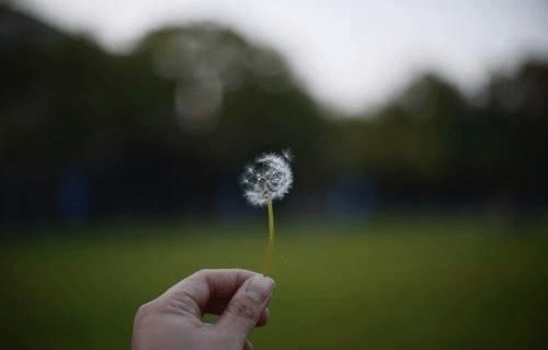 523428a67da04e019a33213dbfe2ba65.png