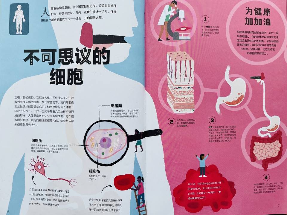 原创医生让孩子养成健康饮食习惯从了解身体各器官营养需求开始