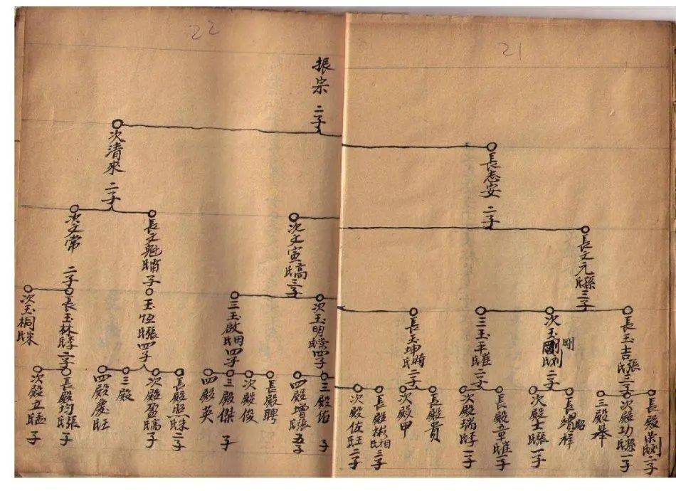 宝塔式老谱,世系是如何排的?_家谱