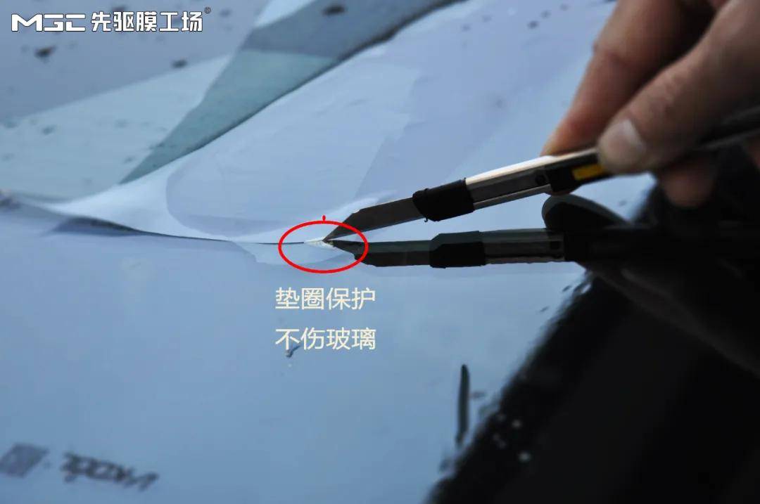89cd59d70385423187d61da25682075a.jpeg