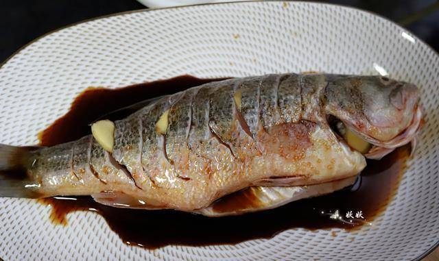 鱼多少天换水合适 d88a0e9be34d45c48075f8080e0b8cd2.jpeg