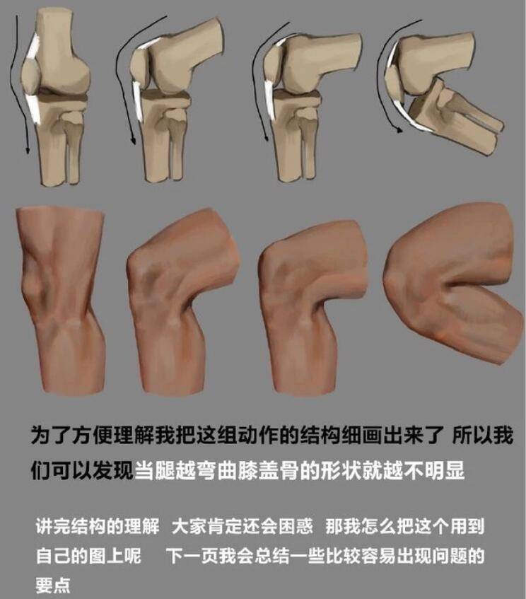 人物膝盖怎么画?新手怎么画好人物膝盖