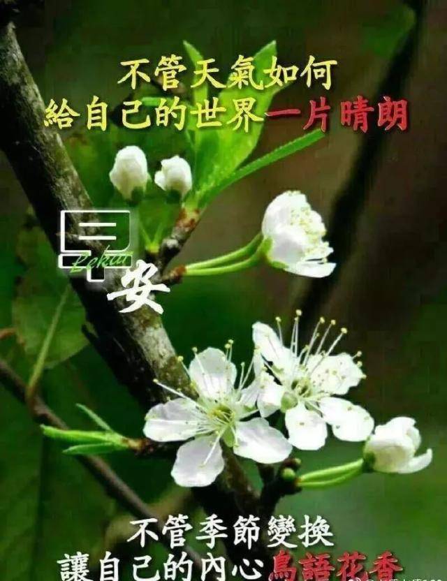 早上好问候祝福语录微信群发早安祝福表情大全