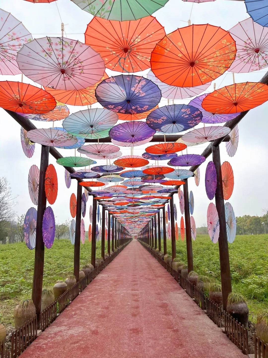 特色游园体验之1:打卡花伞长廊