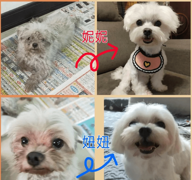 12fa497441db42faba5bb1a3f762ce80.png