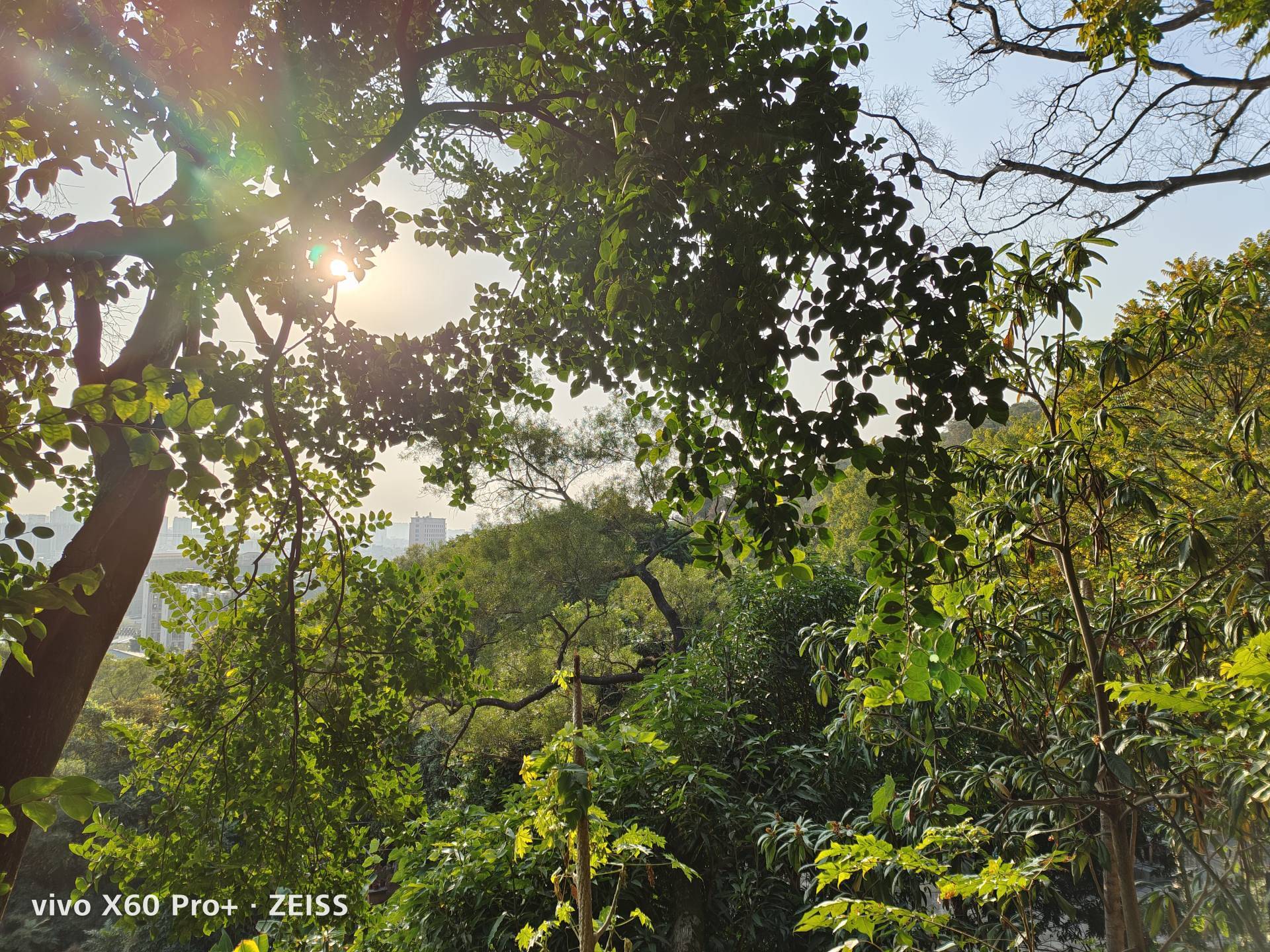 vivo x60 pro 影像实力超强!突破技术关禁运用微云台提升防抖实力