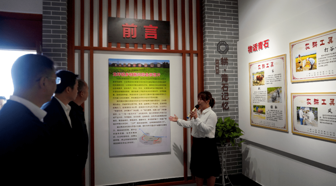 党建引领乡村振兴 连州首个乡村振兴馆在龙坪青石开馆