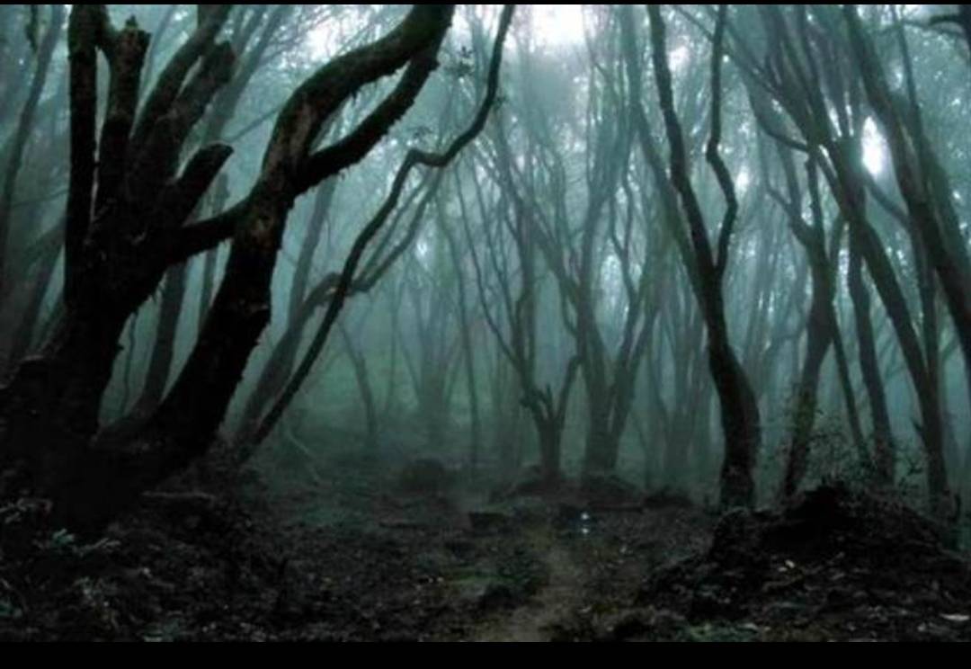 关于我亲身经历的民间灵异怪事一