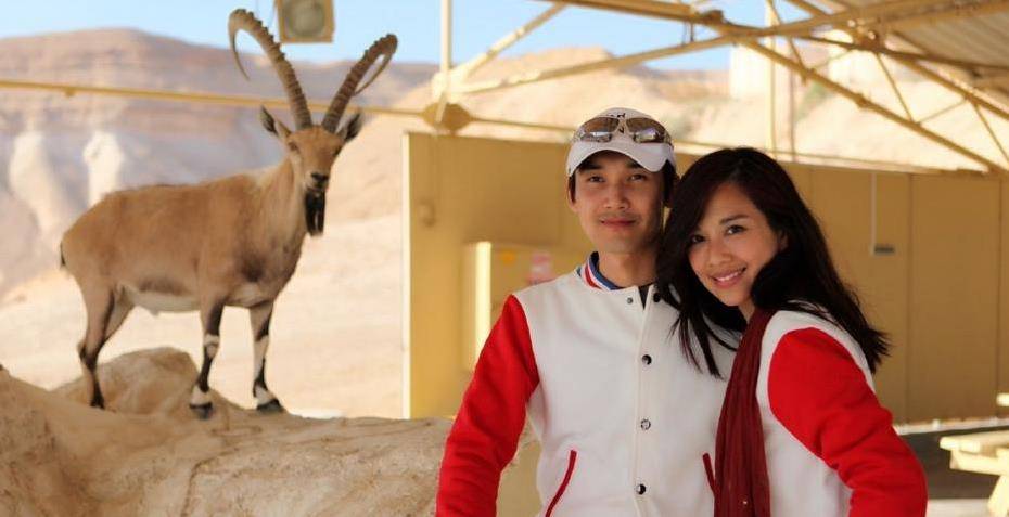 对比黄圣依婆婆，陈松伶婆婆的情商也太低了！