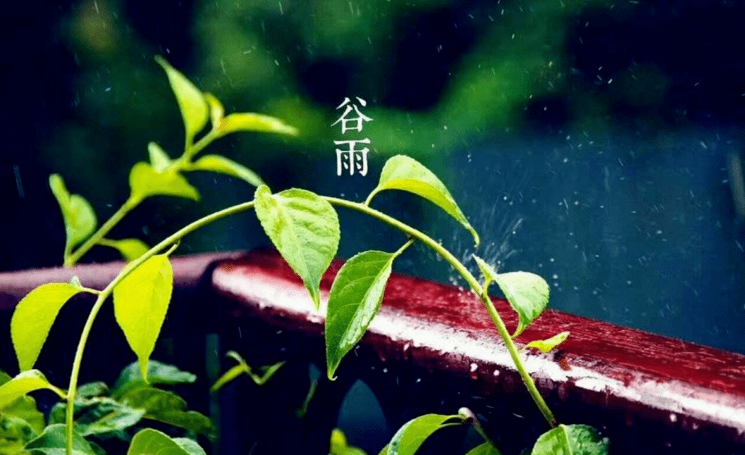 【詩詞鑑賞】一年彈指又春歸,十首穀雨的詩詞,莫負這最後的春光!